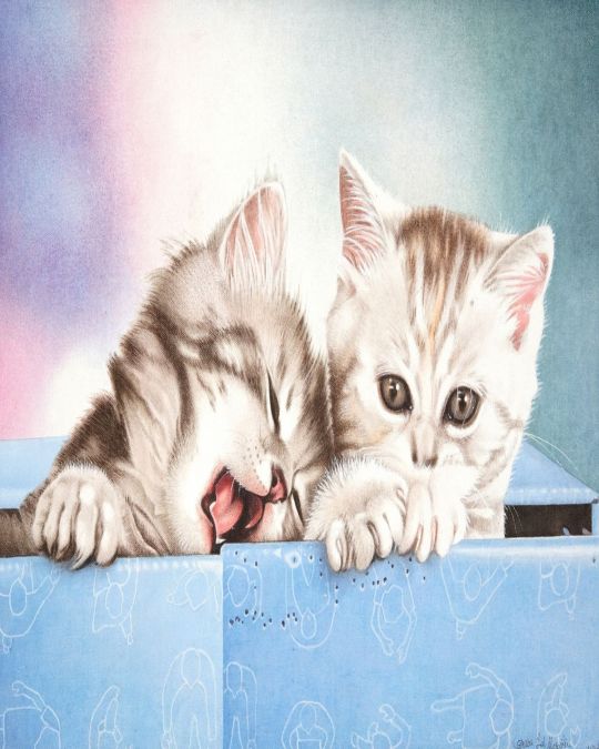 Two Kittens Canvas Painting (unframed)